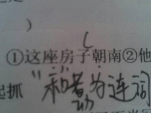 娄底_2025全年资料免费大全6,撕开面具发现仔细释义、解释与落实