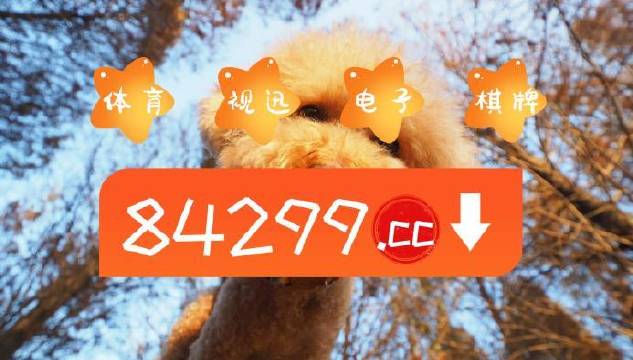大丰_白小姐一肖一码中100,揭秘开掘-全面释义、解释与落实