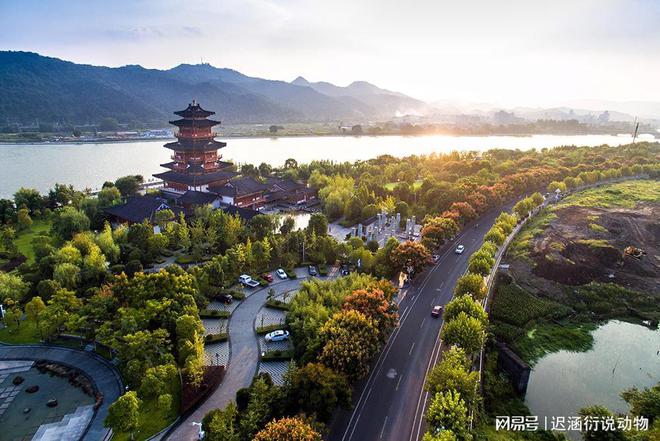 丽水_2025新澳天天开奖资料大全最新版,揭老底吃透详细解答、解释与落实