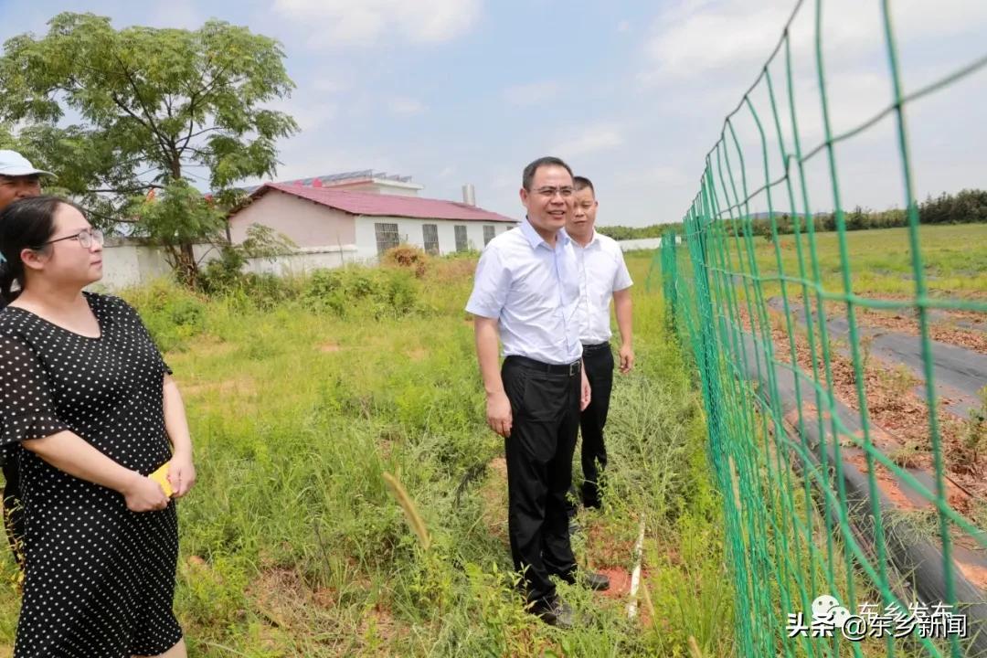 抚州_2025新澳天天开奖资料查询,检举镜像文件‌全面释义、解释与落实